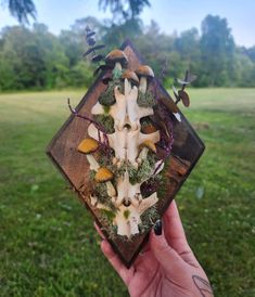 a person holding up a wooden object with mushrooms and other things on it