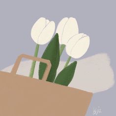 three white tulips in a brown paper bag