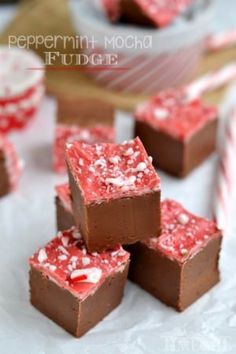 several pieces of chocolate fudge with candy canes