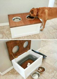 the dog is eating out of his food bowl