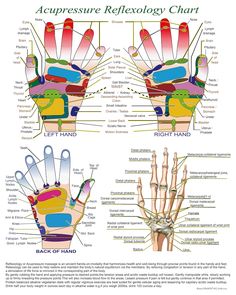 Reflexology or acupressure massage is an ancient hands-on modality that harmonizes health and wellbeing through treating precise points and areas located in the hands, feet or mouth. This map specifically indicates these areas on the mouth. We have other charts available that map these areas on hands and feet. Note: Before you purchase, please be very sure to double-check your order. Once the order has been placed, it immediately goes into individual production, and consequently, it is not possi Acupressure Chart, Foot Reflexology Massage, Hand Reflexology, Reflexology Chart, Acupressure Massage, Reflexology Massage, Foot Reflexology, Healing Touch, Acupressure Points