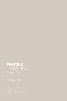 pantone's 13 - 3504 tcx rainy day paint colors