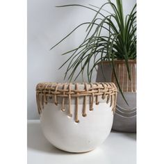 a white bowl with some plants in it