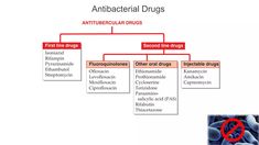 Pharmacological Classification Of Drugs | PPT Autonomic Nervous System, Central Nervous System, Career Education, Pharmacology, Respiratory, Salicylic Acid, Nervous System, For Free, Quick Saves