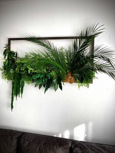 some plants are hanging on the wall above a couch