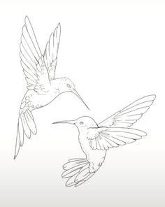 a drawing of a hummingbird flying in the sky