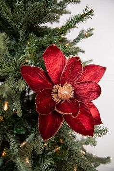 a red flower sitting on top of a christmas tree