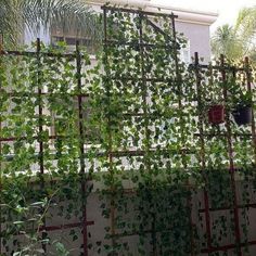 an iron fence covered in green plants next to a building