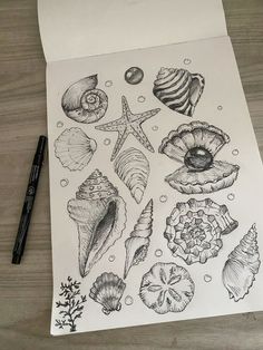 Seashell Drawing Realistic, Sketchbook Ideas Ocean, How To Draw Shells Step By Step, Sea Shells Sketch, Colored Pencil Sea Animals, Drawing Inspo Landscape, Small Sketches Ideas, Trendy Drawings Aesthetic, Sea Creatures Drawing Ocean