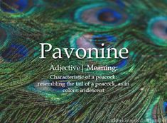 a close up of a peacock's feathers with the words pavonine above it