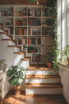 a room with some bookshelves and plants on the shelves next to stairs in front of them