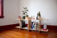 a shelf with books, magazines and plants on it in a room next to a window