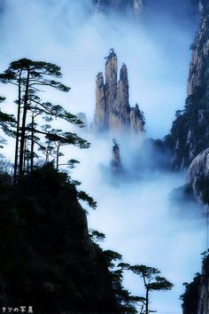 the mountains are covered in mist and trees