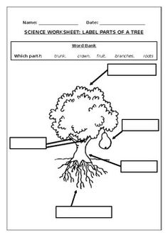 the tree worksheet is shown in black and white, with words below it