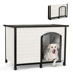 a white dog sitting in its kennel with the door open