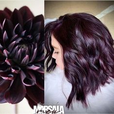 Dark Purple Hair Color Ideas, Longbob Hair, Dark Purple Hair Color, Purple Hair Color Ideas, Purple Hair Color, Rambut Brunette, Dark Purple Hair