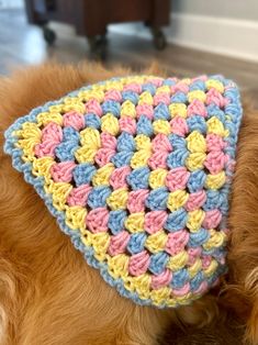 a dog wearing a crocheted hat laying on the floor