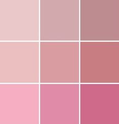 pink color palette with different shades