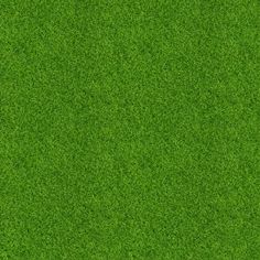 green grass textured background with space for text or image