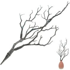 a tree branch with no leaves and a vase in the foreground, against a white background