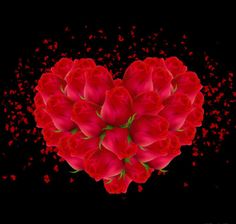 a heart shaped red flower on a black background