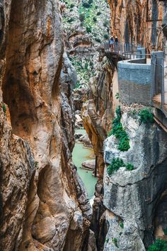 people are standing on the ledges above a river in a canyon with green plants growing out of it