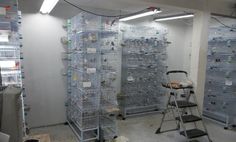 a room filled with lots of shelves and ladders next to a wall covered in plastic containers