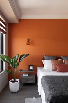 a bedroom with an orange accent wall and white bedding, along with a potted plant