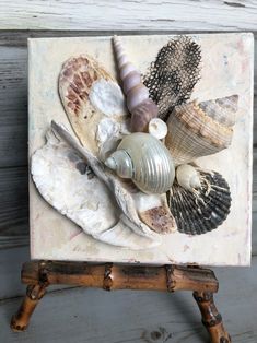 seashells are displayed on an old wooden easel