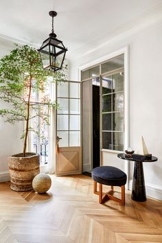 a living room with a potted plant in the corner