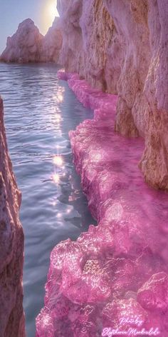 the sun shines brightly on pink water and rock formations