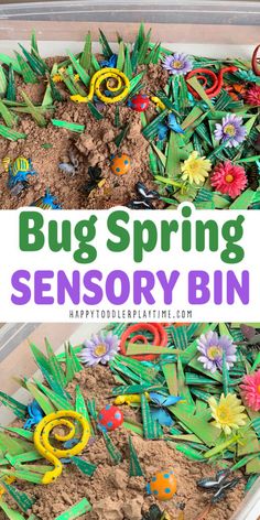 a bin full of bugs and flowers with the words bug spring sensory bin on it