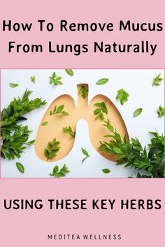 a guide on how to remove mucus from the lungs naturally with herbs Natural Lung Expectorant, How To Heal Your Lungs Naturally, Heal Lungs Naturally, Lung Cleanse Tea, Cleanse Lungs Naturally, Respiratory Steam Diy, Foods For Respiratory Health, How To Clean Out Your Lungs, How To Clean Your Lungs Naturally