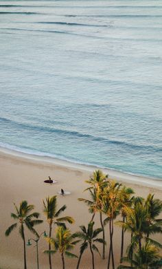 two people are laying on their surfboards in the sand near the ocean and palm trees