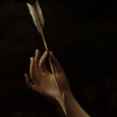 a person's hand holding a feather in the dark