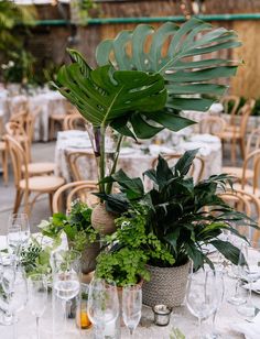 the table is set with plants and wine glasses for guests to sit down at it