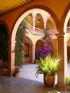 an outdoor courtyard with potted plants and flowers on the floor, surrounded by arches