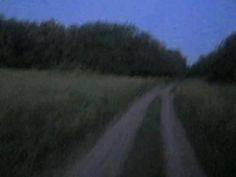 a dirt road in the middle of a grassy field at night with trees on either side