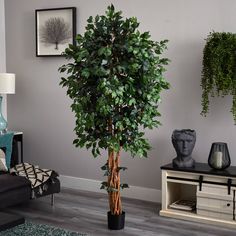 a potted tree in a living room next to a couch