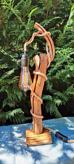 a lamp made out of wood and wire on top of a blue cloth with trees in the background