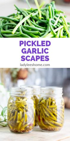 pickled garlic in jars with text overlay that reads pickled garlic scapes