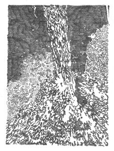 a black and white drawing of a tree