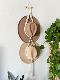 three hats hanging on a wall next to a potted plant