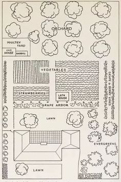 an old drawing shows the layout of a garden