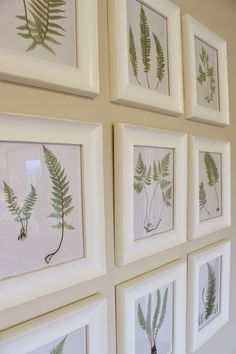 several framed pictures with green leaves on them