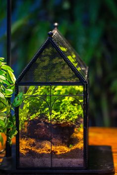 a small house shaped like a greenhouse with plants growing inside it on top of a wooden table