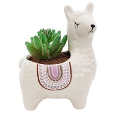 a white llama planter with succulents in it