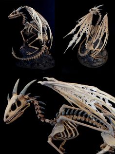 three different views of an animal skeleton