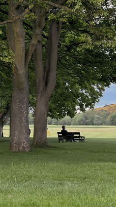 a man sitting on a park bench under a large tree in the middle of a field