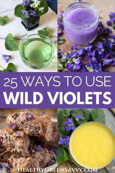 Violet Recipes, Medicine Garden, Natures Bounty, Wild Violets, Edible Flowers Recipes, Wild Foraging, Herbal Medicine Recipes, Wild Food Foraging, Herbal Remedies Recipes